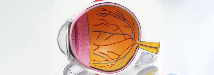 FC – Glaucoma in Green Bay WI